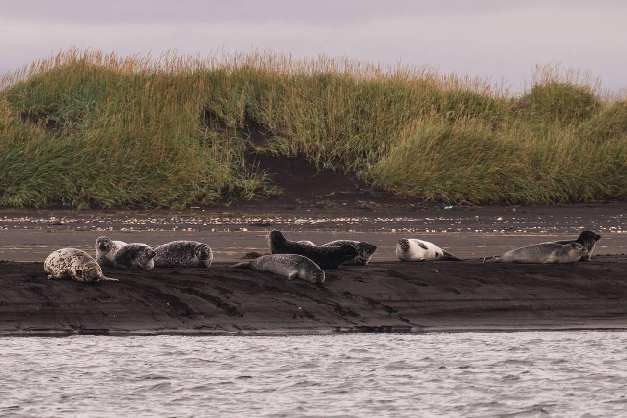 Sandur Þórshöfn Buitenkant foto