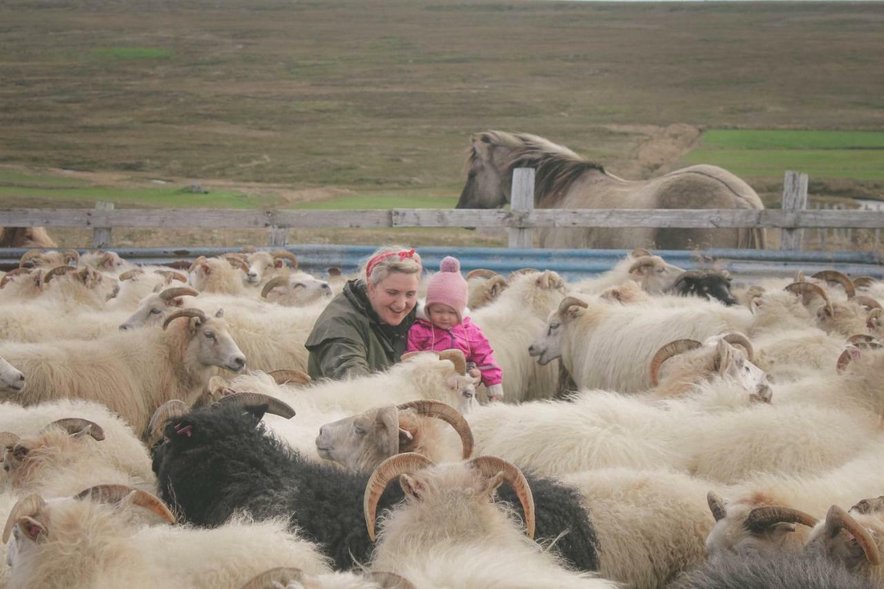 Sandur Þórshöfn Buitenkant foto