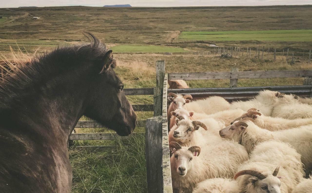 Sandur Þórshöfn Buitenkant foto