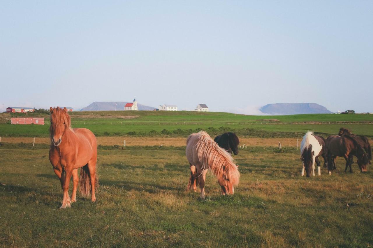 Sandur Þórshöfn Buitenkant foto