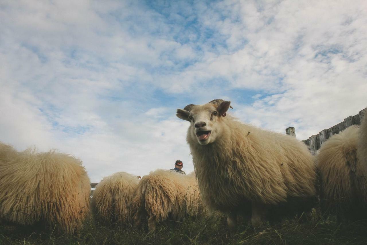 Sandur Þórshöfn Buitenkant foto